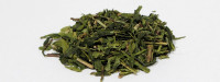 China Sencha ORGANIC  PROMOCJA!