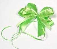 Kokarda Satynowa Butterfly zielona